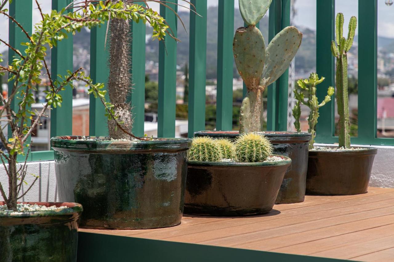 Holt - Villa Noria - La Casa Del Barro Verde Oaxaca Екстериор снимка
